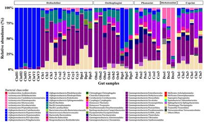 Influence of phylogenetic, environmental, and behavioral factors on the gut bacterial community structure of dung beetles (Scarabaeidae: Scarabaeinae) in a Neotropical Biosphere Reserve